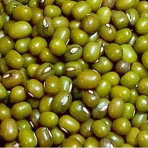Whole Green Mung / Mung Bean