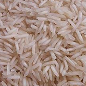 1509 Basmati Rice