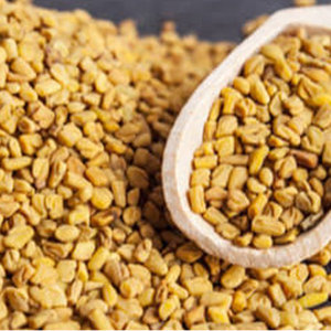 Fenugreek Seed