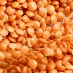 Masoor Dal / Red Lentil