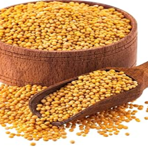 Mustard Seed