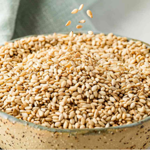 Totasted Sesame Seeds