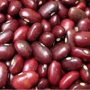 Kidney Beans / Rajma