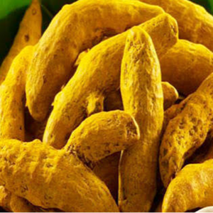 Turmeric Finger
