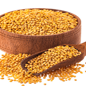 Quinoa Seeds